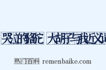 哭泣的骆驼·大胡子与我近义词是什么意思的图片